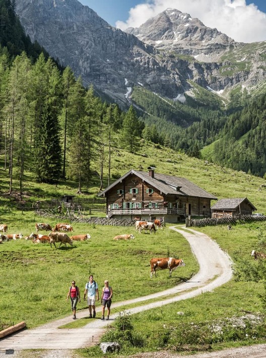 Wanderurlaub in Flachau - Wanderung in die Marbachalmen in Flachauwinkl